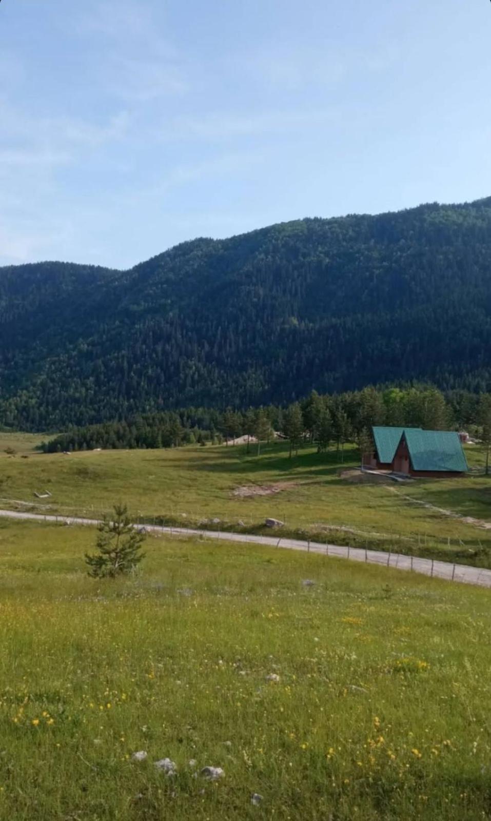 Villa Vikendice Smolovic à Žabljak Extérieur photo