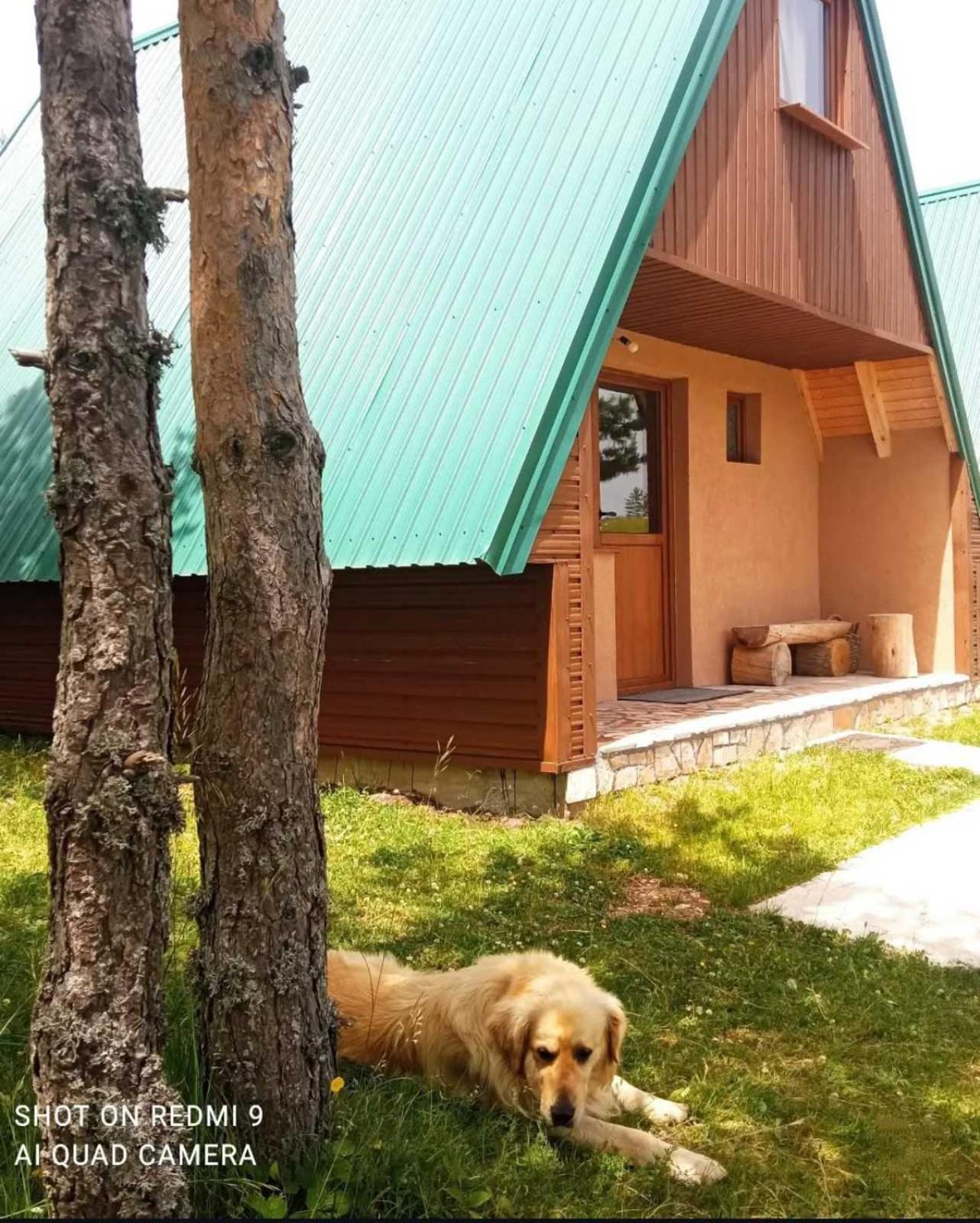 Villa Vikendice Smolovic à Žabljak Extérieur photo